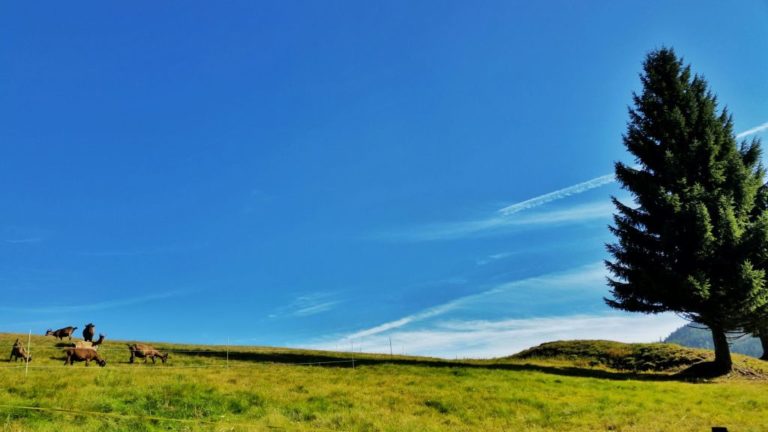 Bieg do początków rzeki Łaby