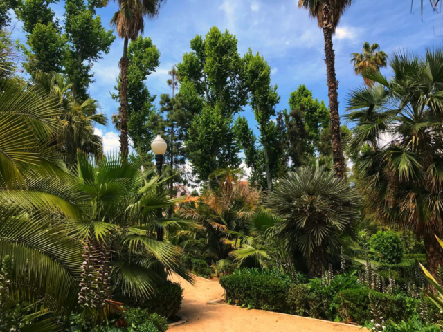 park Ribalta w Castellon park Ribalta w Castellon