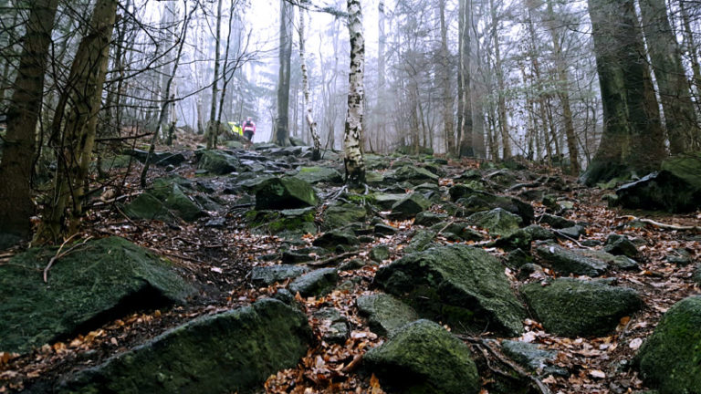 Kamienna Ślęża – półmaraton na koniec sezonu